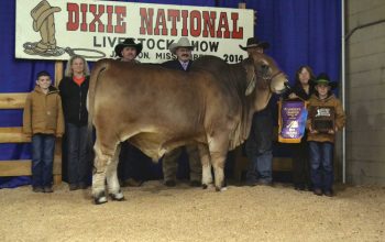 Grand Champions at 2014 Dixie National Livestock Show